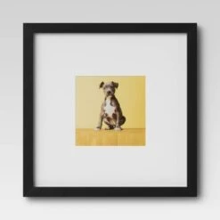 Set Of 9 Gallery Frame Set 10" X 10" Matted To 5" X 5" Black - Room Essentials™ -Room Essentials Sale GUEST d61d30e6 ebc4 4fd4 a741 cebdd9195a13